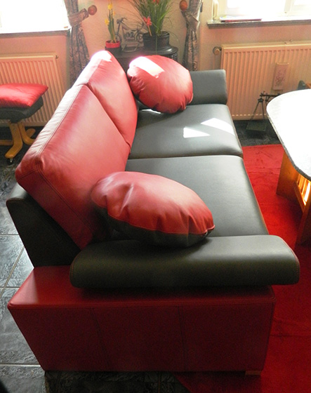 Kunde H.H. - Sofa Stella Rückenkissen als Wendekissen komplett in Leder klein